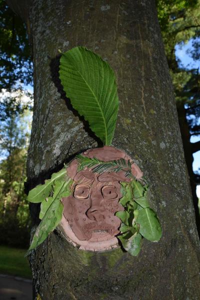 obrázek