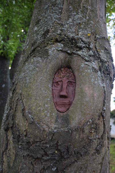 obrázek
