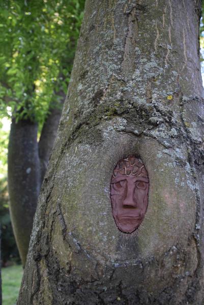 obrázek