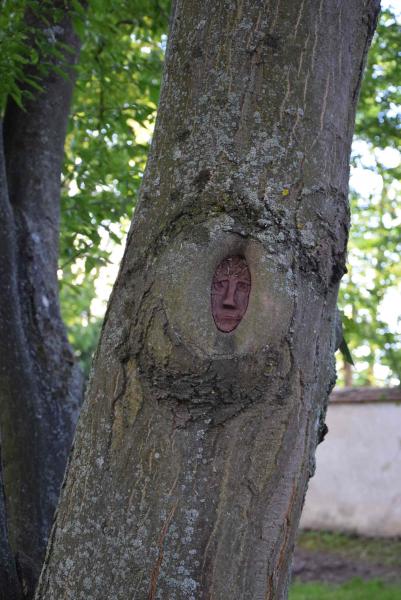 obrázek