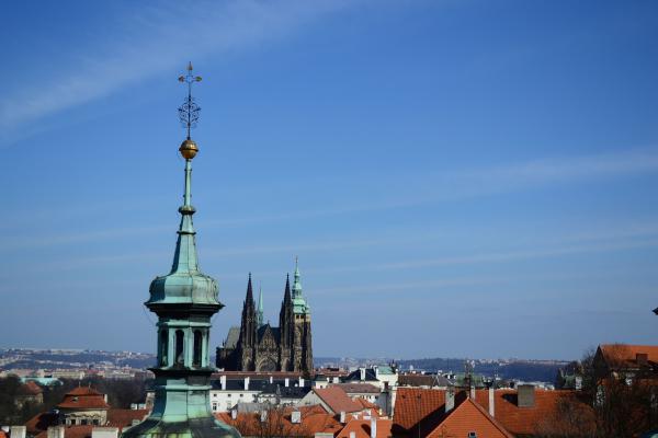 obrázek