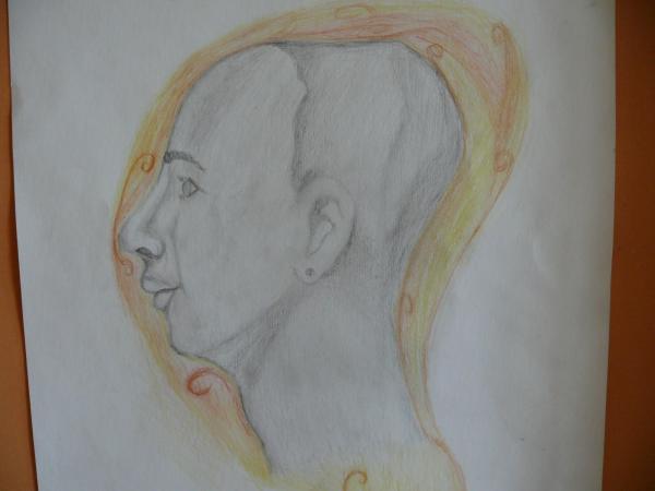 obrázek