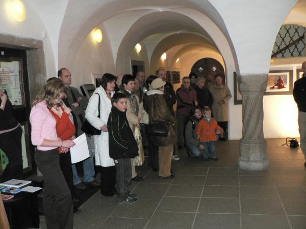 obrázek