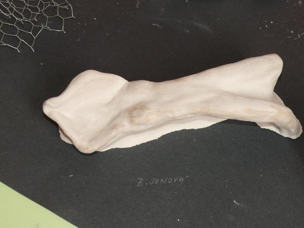 obrázek