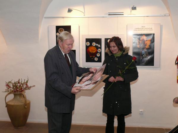 obrázek