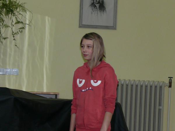 obrázek