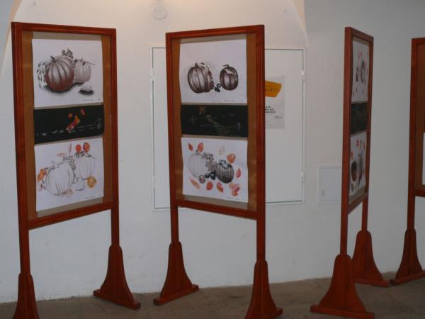 obrázek